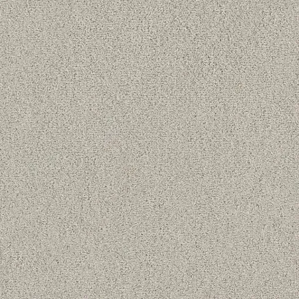 Draufsicht Girloon TWIN Teppichboden Velours 845 Greige, 2/4 m breit